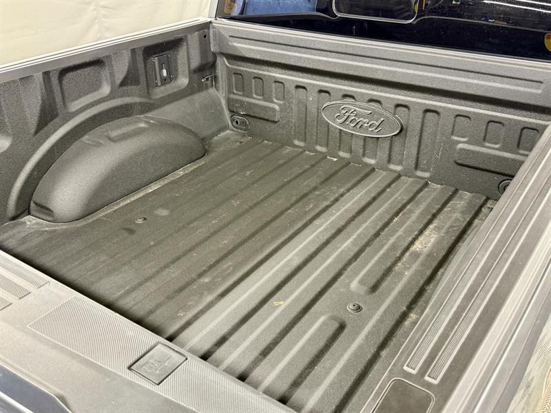 ford F-150 2021 - 30