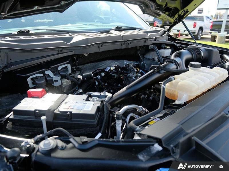 ford F-150 2021 - 11