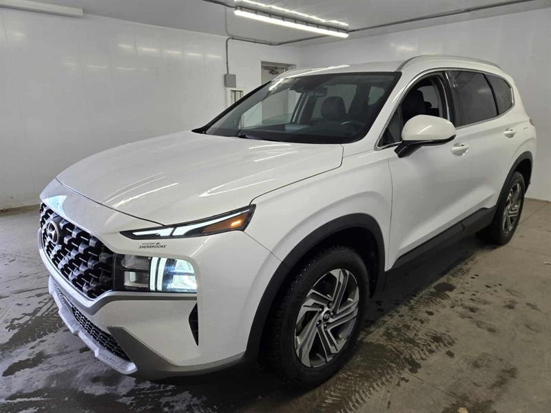 hyundai Santa Fe 2021 - 4