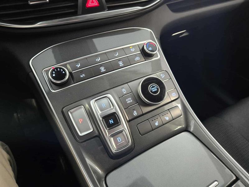 hyundai Santa Fe 2021 - 18