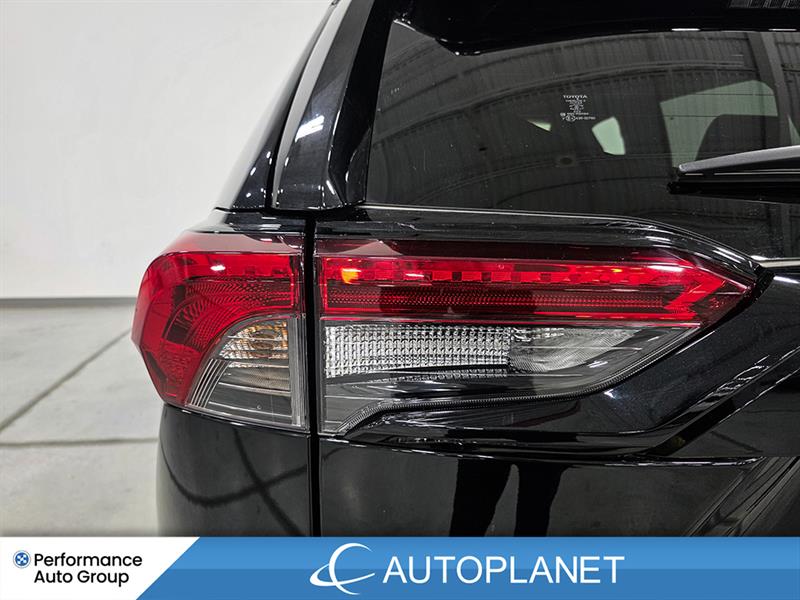 toyota RAV4 Plug-In Hybrid 2024 - 12