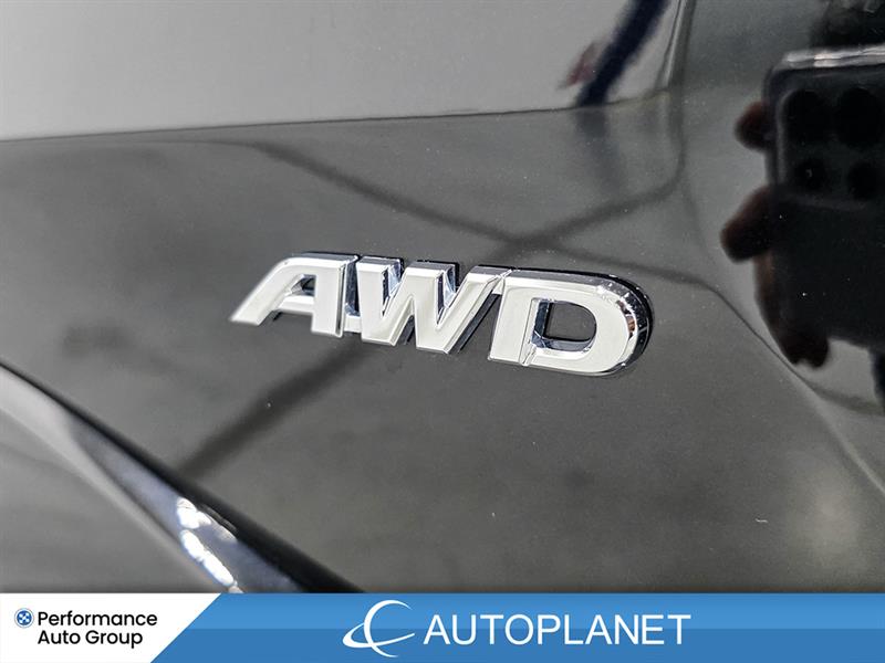 toyota RAV4 Plug-In Hybrid 2024 - 16