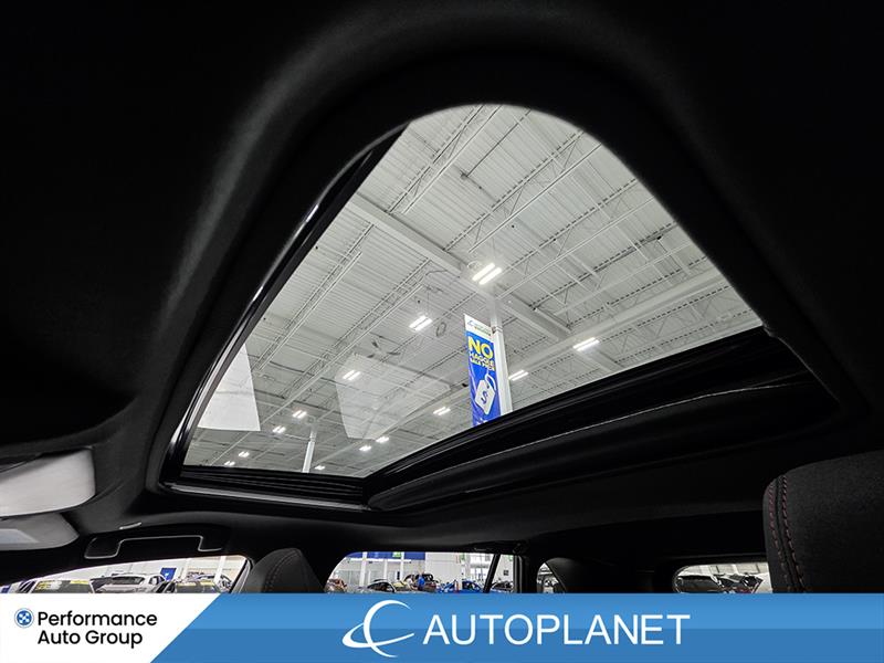 toyota RAV4 Plug-In Hybrid 2024 - 17