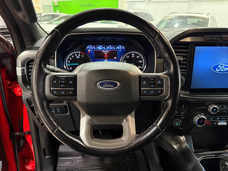 ford F-150 2022 - 15