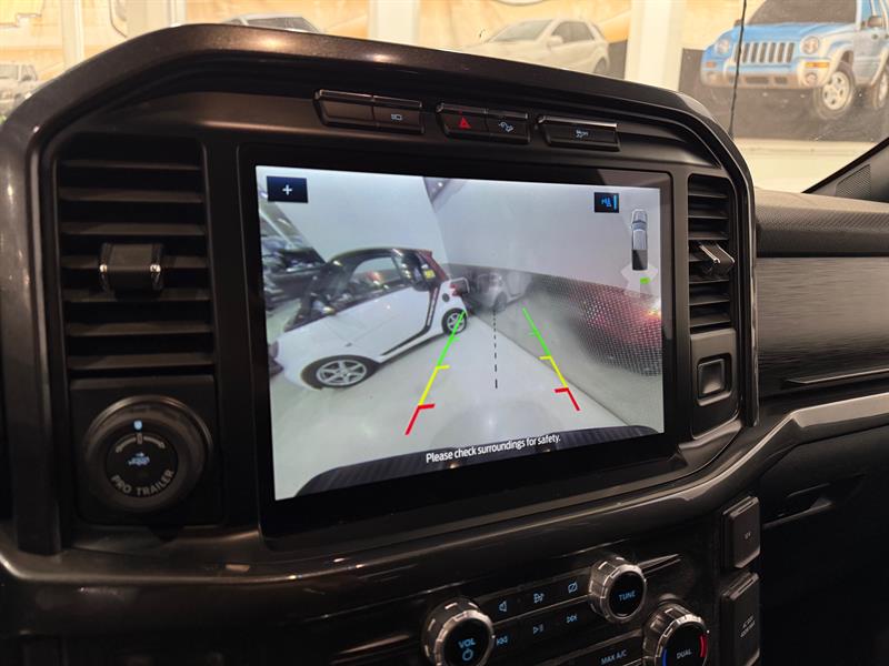 ford F-150 2022 - 18