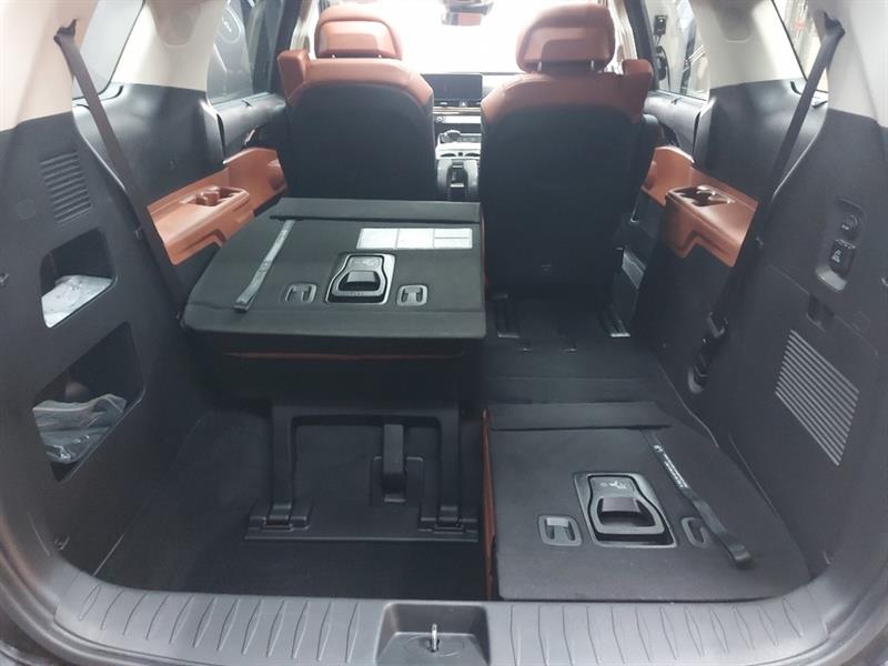 kia Carnival 2025 - 12