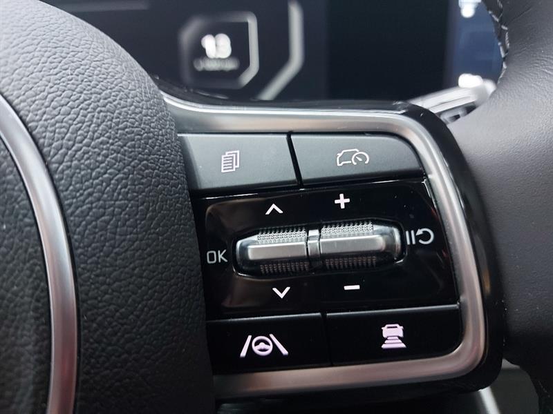 kia Carnival 2025 - 30