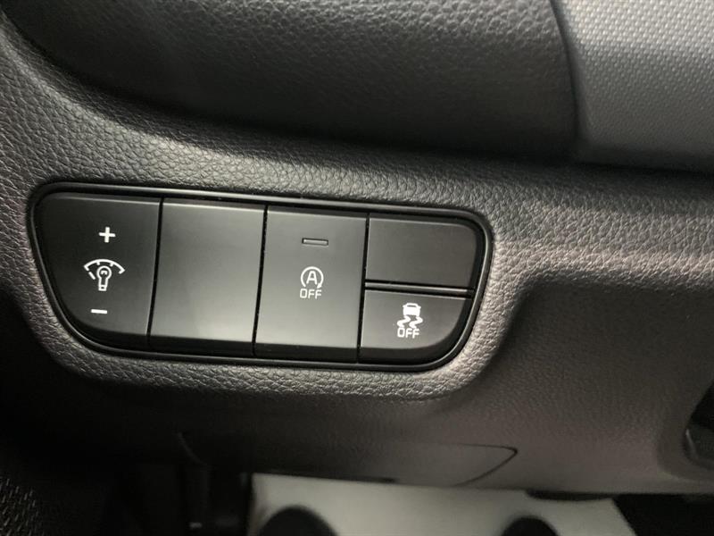 kia Seltos 2024 - 11