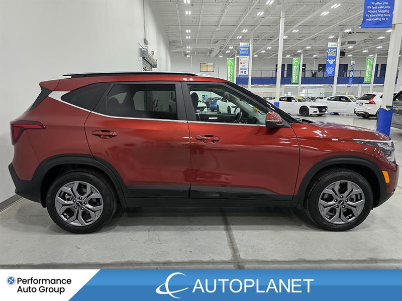 kia Seltos 2025 - 10