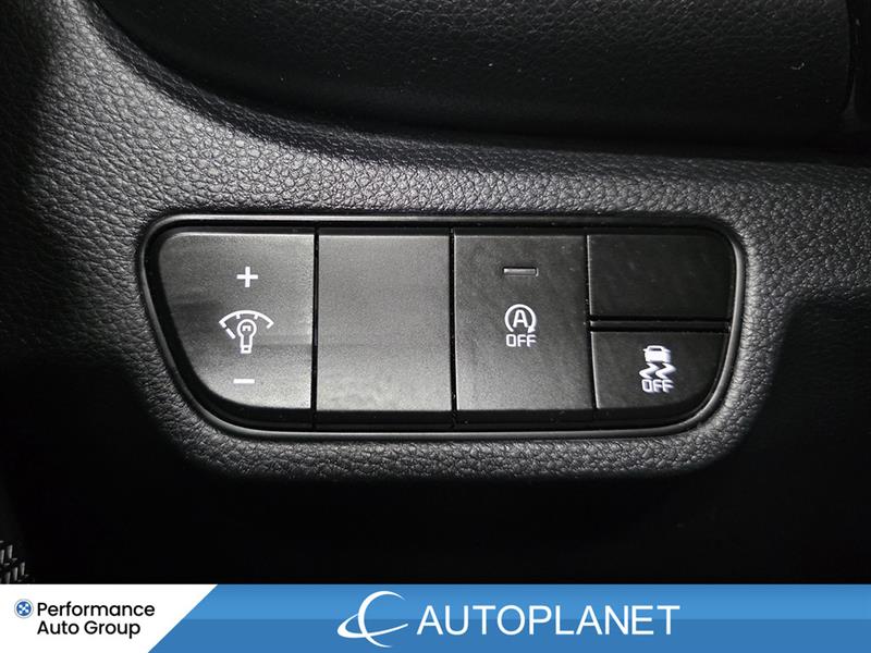 kia Seltos 2025 - 27