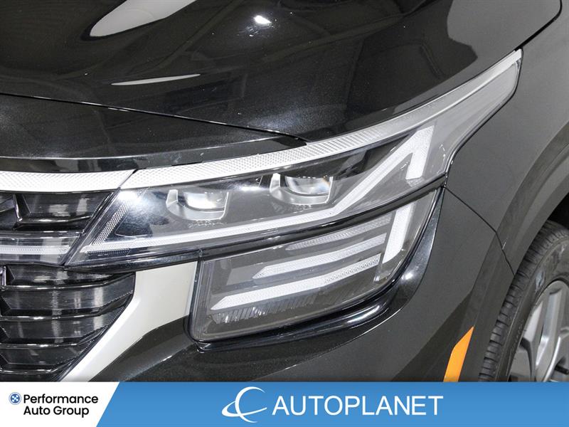 kia Seltos 2025 - 11