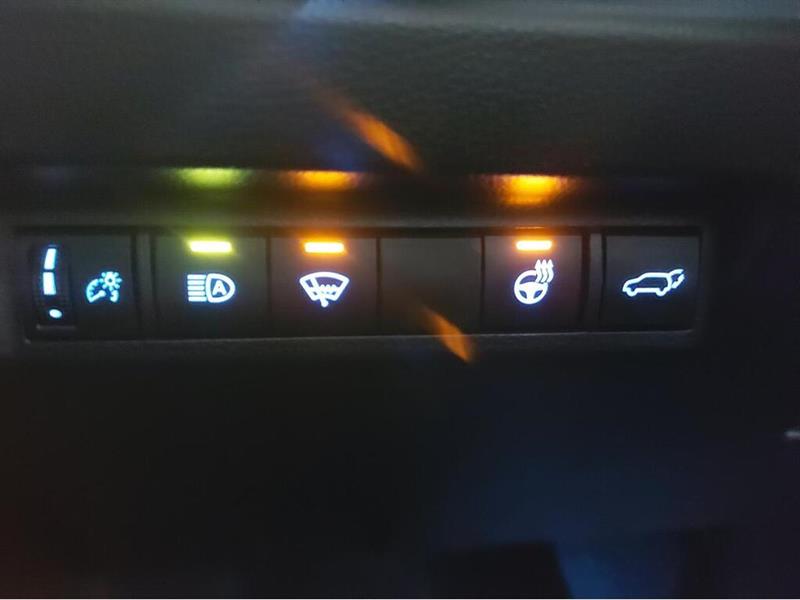 toyota RAV4 2019 - 22