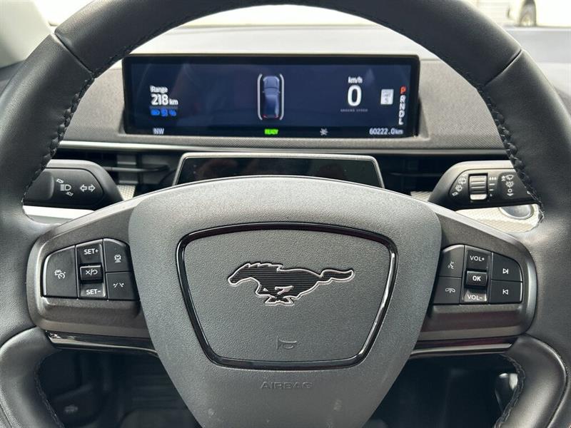 ford Mustang Mach-E 2022 - 22