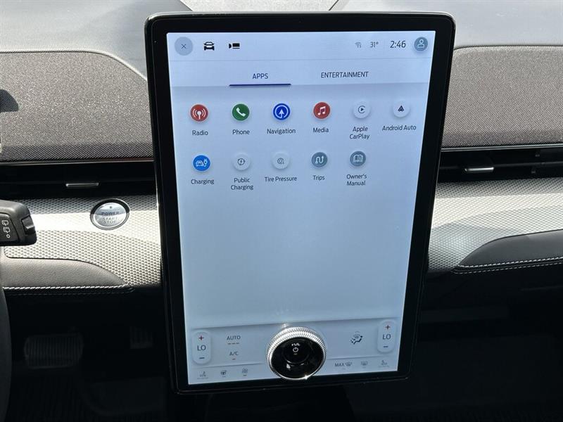 ford Mustang Mach-E 2022 - 28