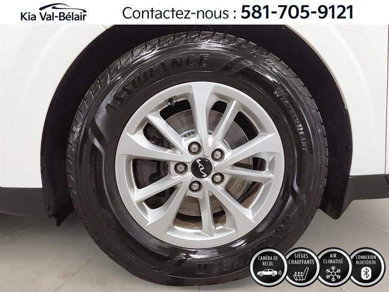 kia Carnival 2024 - 14