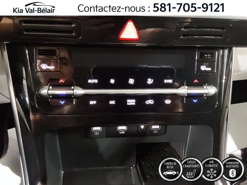 kia Carnival 2024 - 19