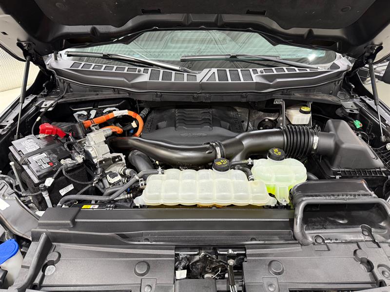 ford F-150 2023 - 30