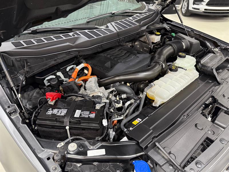 ford F-150 2023 - 31