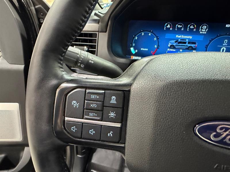 ford F-150 2025 - 17