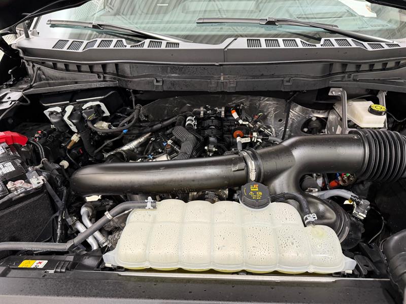 ford F-150 2025 - 28