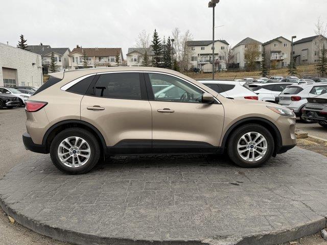 ford Escape 2020 - 3