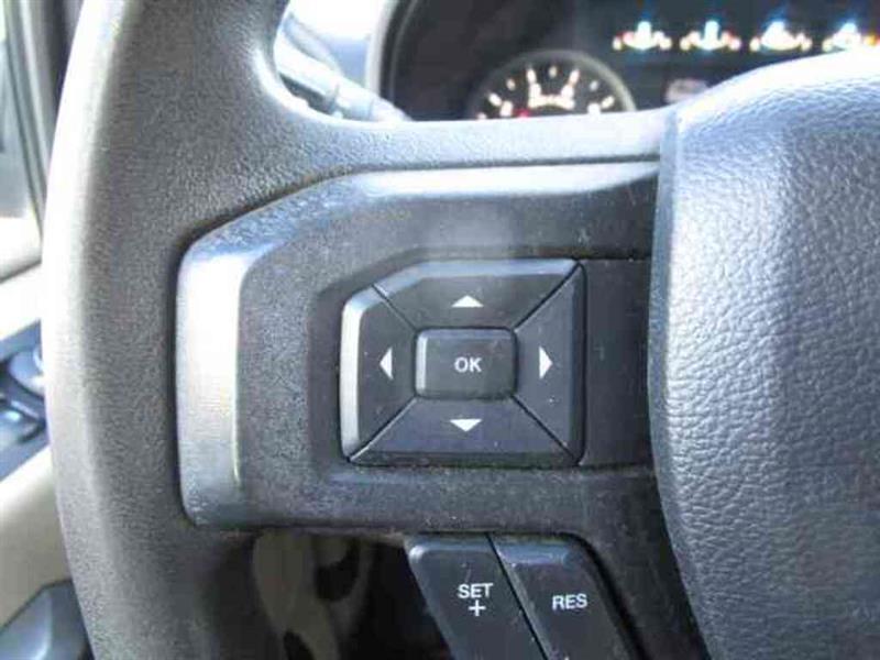 ford F-150 2019 - 15