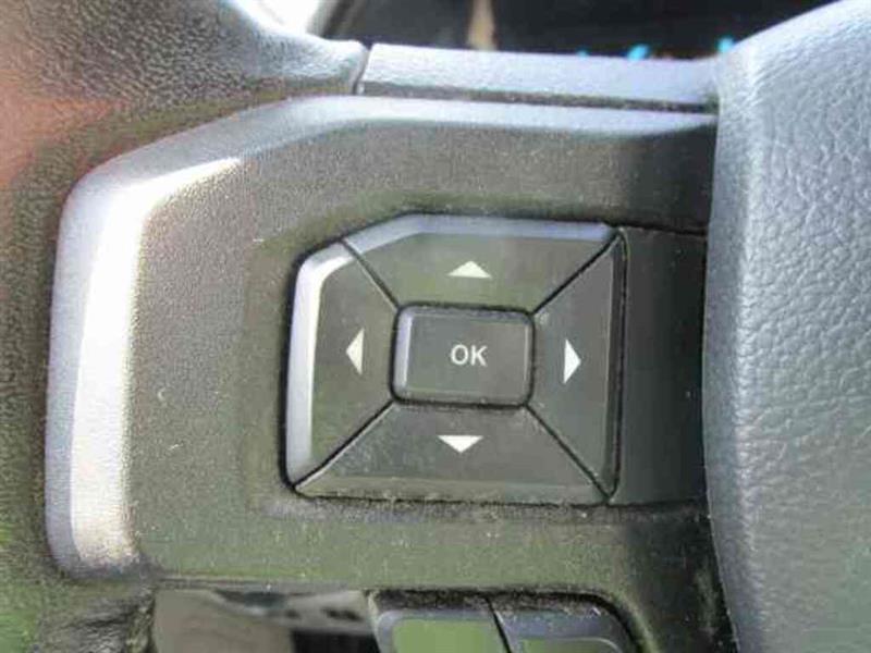 ford F-150 2019 - 12