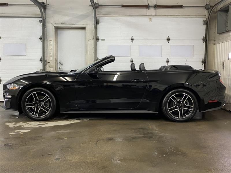 ford Mustang 2020 - 4