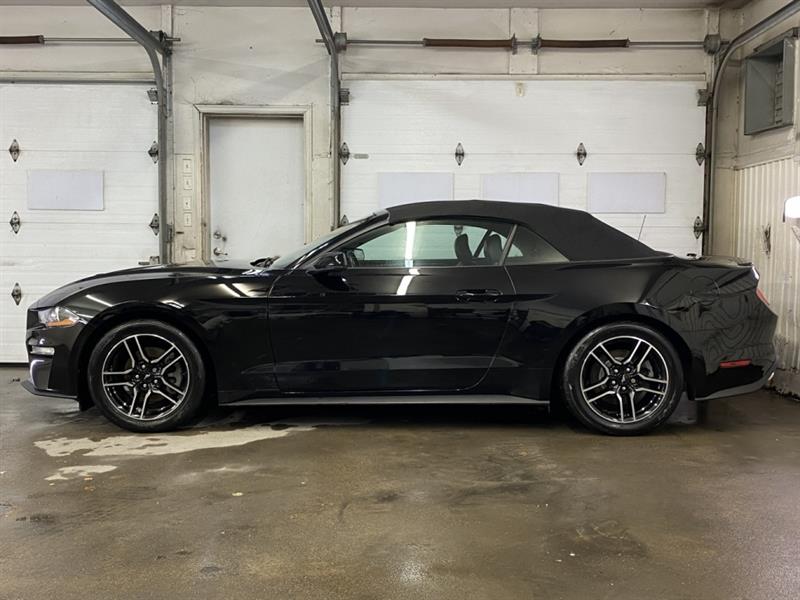 ford Mustang 2020 - 15