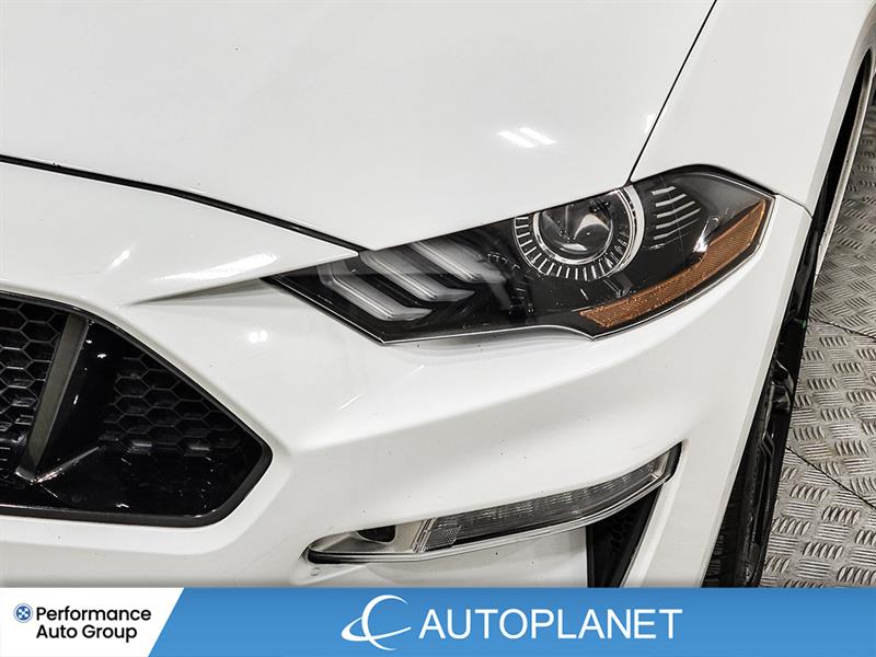 ford Mustang 2019 - 10