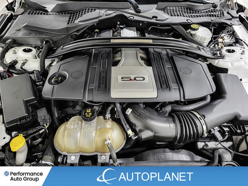 ford Mustang 2019 - 13