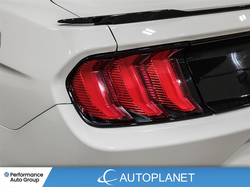 ford Mustang 2019 - 15