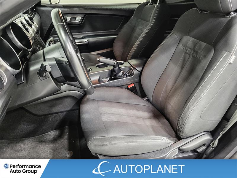 ford Mustang 2019 - 16