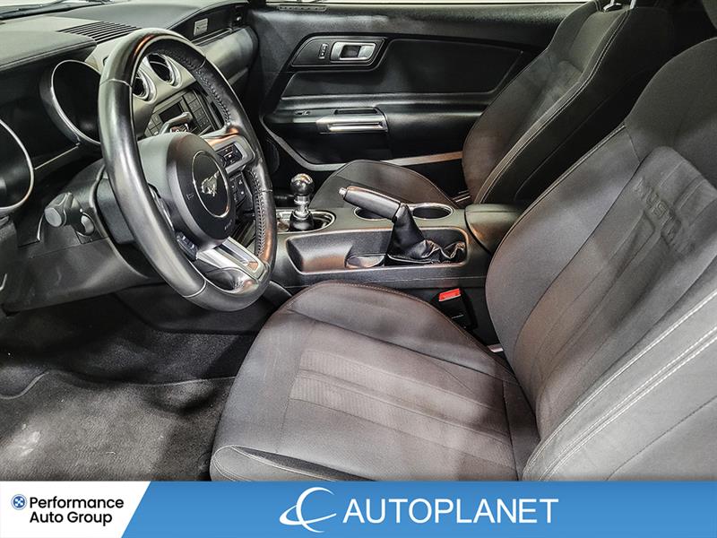 ford Mustang 2019 - 17