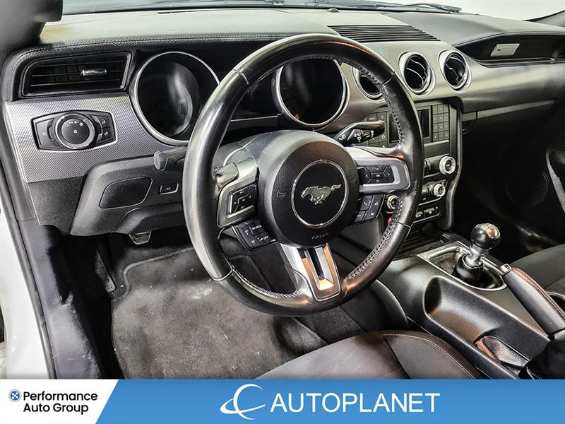 ford Mustang 2019 - 19