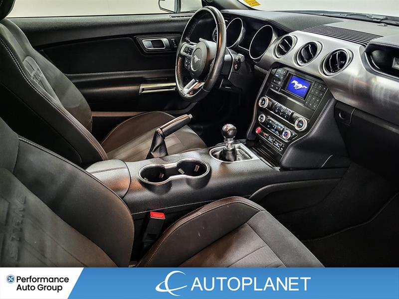 ford Mustang 2019 - 21