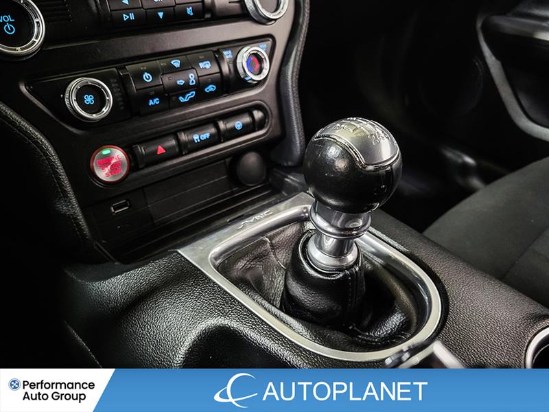 ford Mustang 2019 - 28