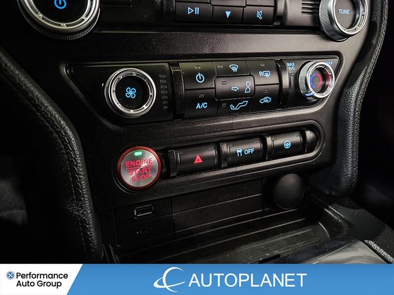 ford Mustang 2019 - 30