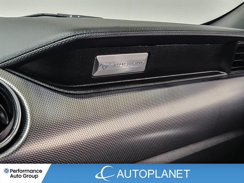 ford Mustang 2019 - 32