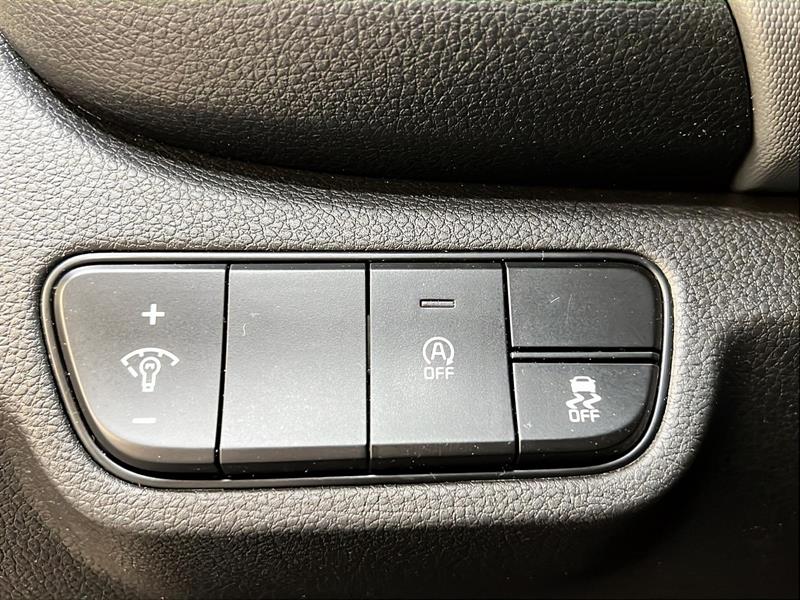 kia Seltos 2022 - 19