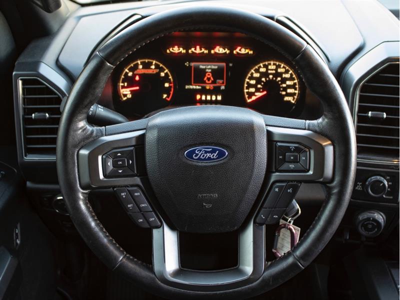 ford F-150 2018 - 15