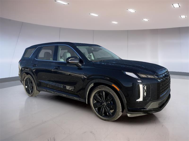 hyundai Palisade 2024 - 3