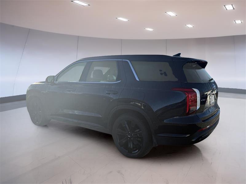 hyundai Palisade 2024 - 5