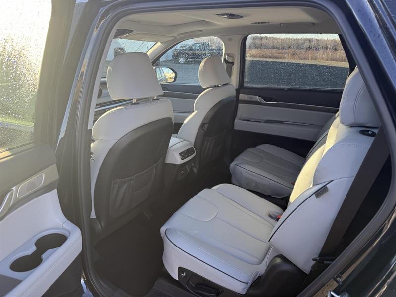 hyundai Palisade 2024 - 6