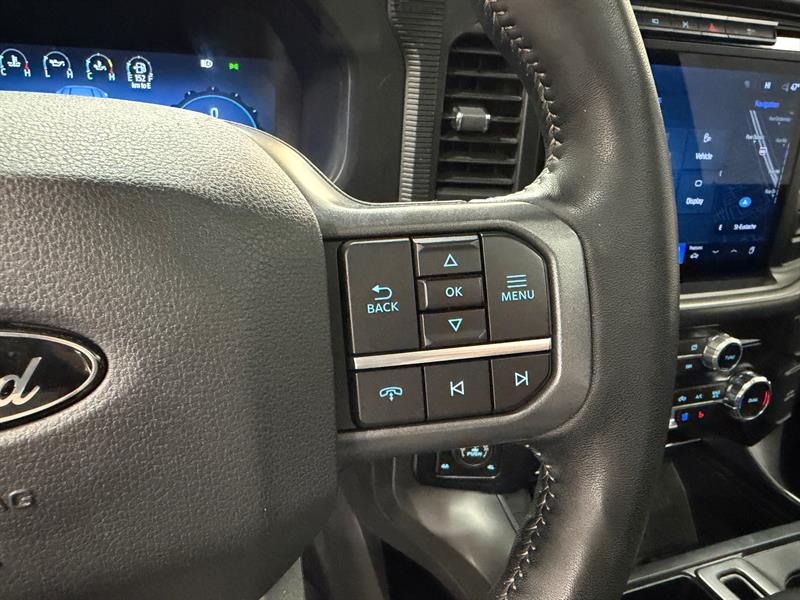 ford F-150 2024 - 16