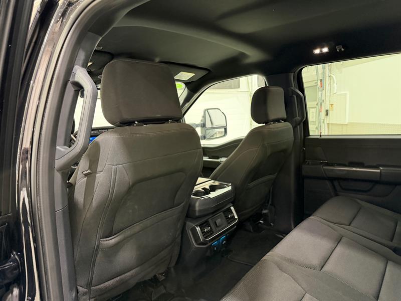 ford F-150 2023 - 24