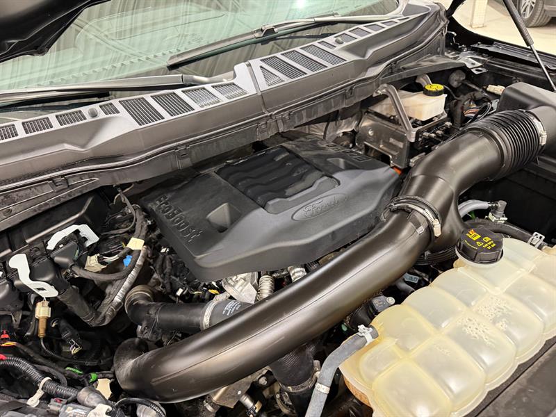 ford F-150 2023 - 25