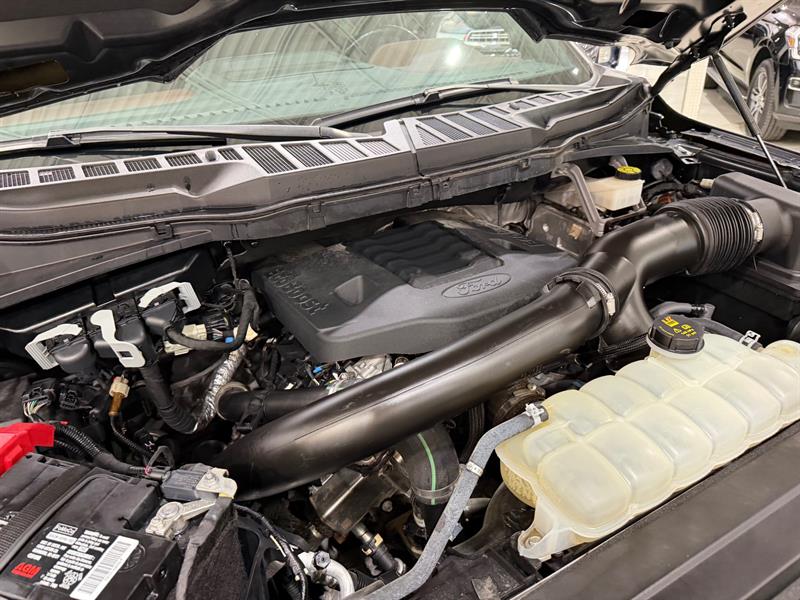 ford F-150 2022 - 28