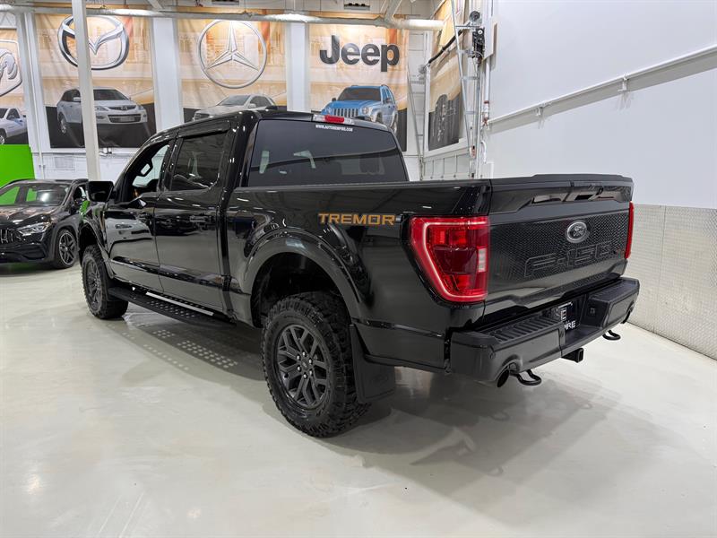 ford F-150 2022 - 3