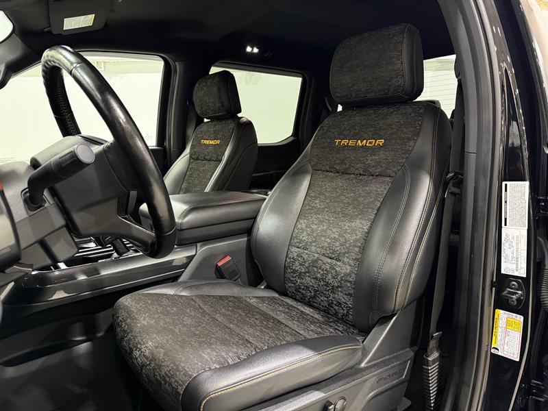 ford F-150 2022 - 10